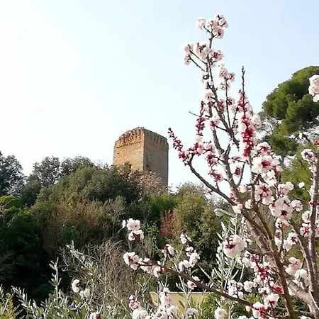 Casa Vacanze Oasi La Torre Hébergement de vacances San Benedetto del Tronto